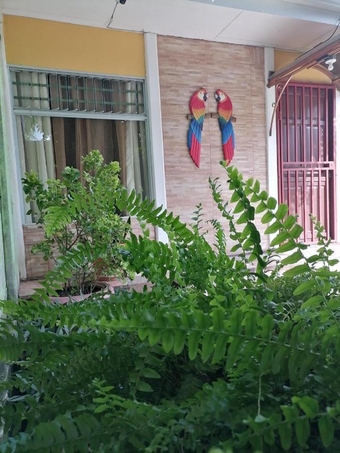 Villa Gabriela, Casa Tucan Liberia Eksteriør billede